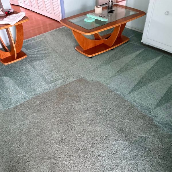 Carpet Cleaning Gallery