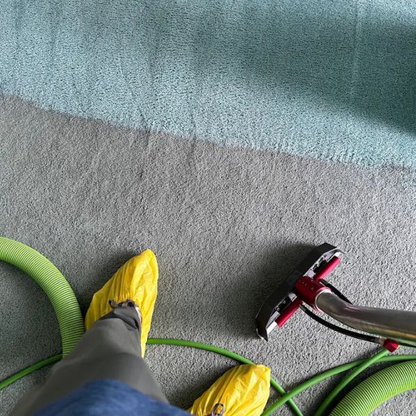 Carpet Cleaning Gallery