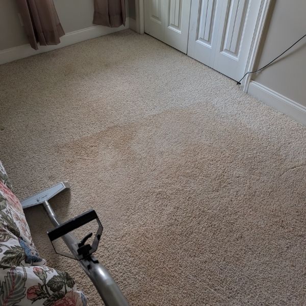 carpet-cleaning-near-you (4)