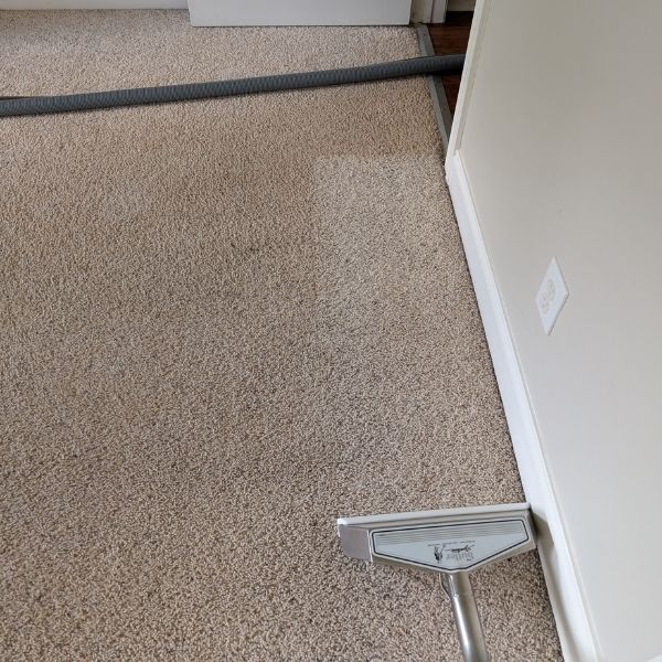carpet-cleaning-services