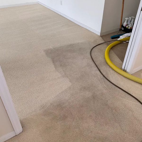 Odor Removal Big Cove AL