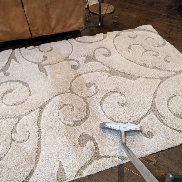 Rug Cleaning Big Cove AL