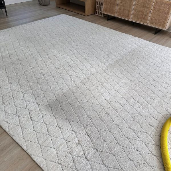 Rug Cleaning Gallery