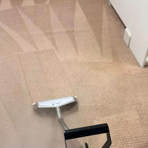 Carpet Cleaning Services